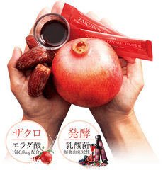Esthe Pro Labo ZAKURO ZYME PASTE Pomegranate Enzyme Paste