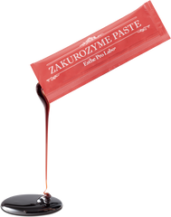 Esthe Pro Labo ZAKURO ZYME PASTE Pomegranate Enzyme Paste