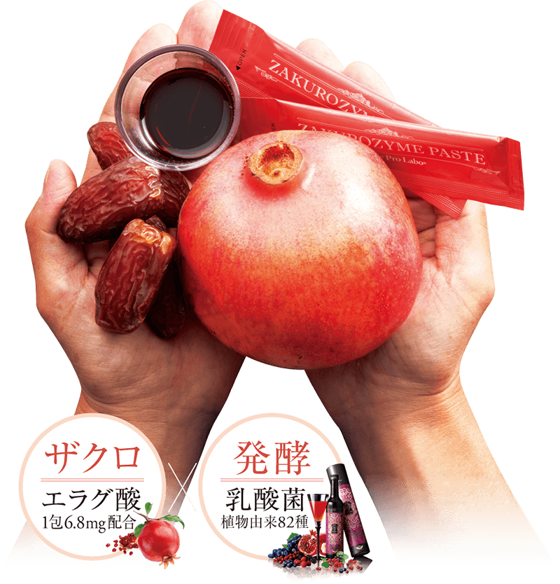 Esthe Pro Labo ZAKURO ZYME PASTE石榴酵素醬